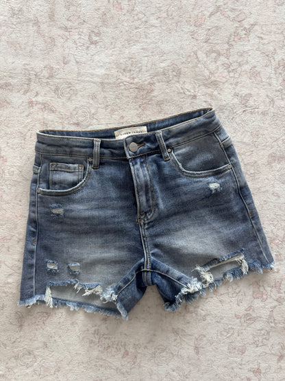 The All Day Denim Risen Shorts